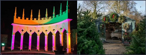 Enchanted Garden by Night